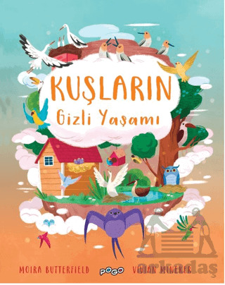 Kuşların Gizli Yaşamı - Pogo Çocuk