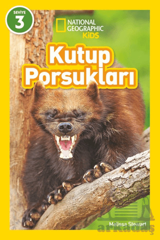 Kutup Porsukları - National Geographic Kids - Beta Kids
