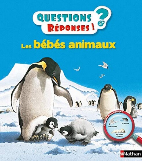 Les bébés animaux - Publisher