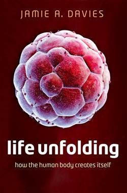 Life Unfolding: How the Human Body Creates Itself - Oxford University Press UK