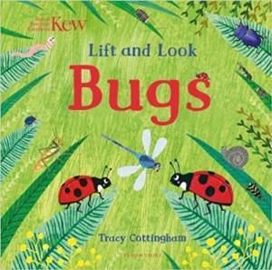 Lift And Look: Bugs - 1