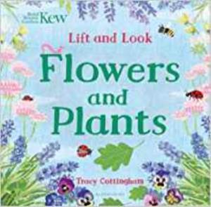 Lift And Look: Flowers And Plants - Bloomsbury