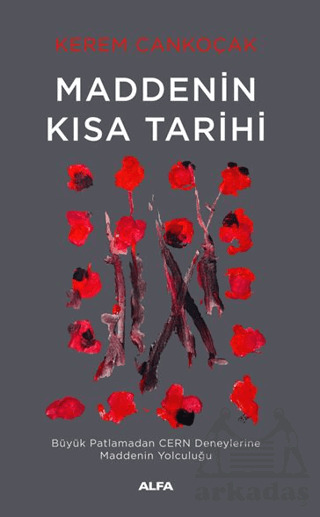 Maddenin Kısa Tarihi - Alfa Yayınları