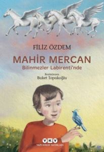 Mahir Mercan - Bilinmezler Labirenti'nde - Yapı Kredi Yayınları