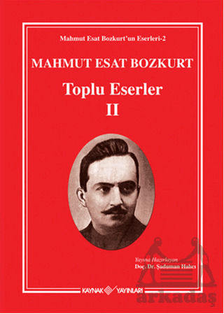 Mahmut Esat Bozkurt Toplu Eserler 2 - Kaynak Yayınları