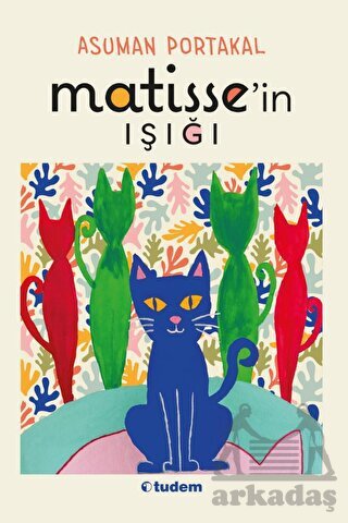 Matisse'in Işığı - Tudem Yayınları
