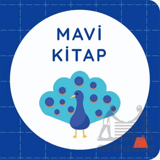 Mavi Kitap - 1