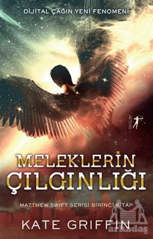 Meleklerin Çılgınlığı - Artemis Yayınları
