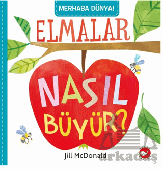 Merhaba Dünya! Elmalar Nasıl Büyür? - 1