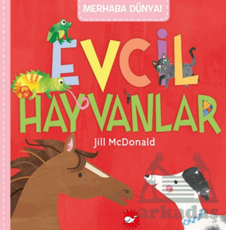 Merhaba Dünya! Evcil Hayvanlar - Beyaz Balina Yayınları