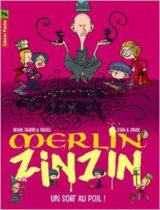 Merlin Zinzin 7: Un sort au poil - Flammarion