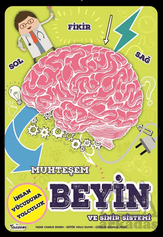 Muhteşem Beyin Ve Sinir Sistemi - Teleskop Popüler Bilim