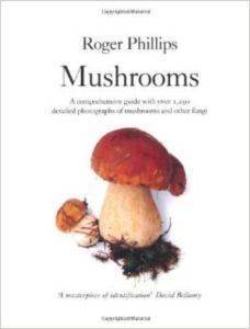 Mushrooms - Macmillan UK