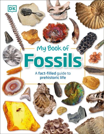 My Book of Fossils - My Book Of - Dorling Kindersley UK