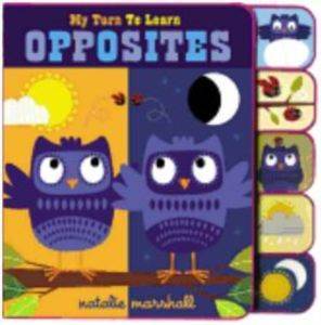 My Turn to Learn Opposites - Little Brown USA
