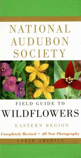 National Audubon Society Field Guide to North American Wildflowers--E - Knopf USA
