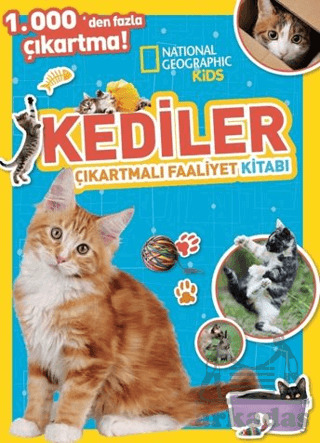National Geographic Kids Kediler Çıkartmalı Faaliyet Kitabı - 1
