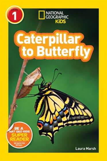 National Geographic Readers: Caterpillar to Butterfly - 1
