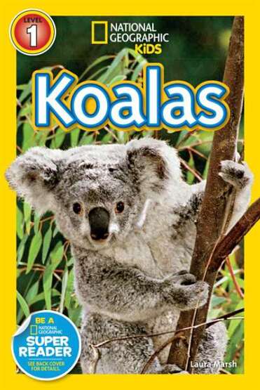 National Geographic Readers: Koalas - 1