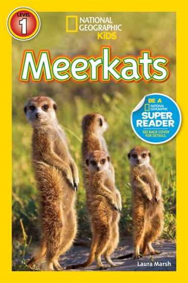 National Geographic Readers: Meerkats - National Geographic USA