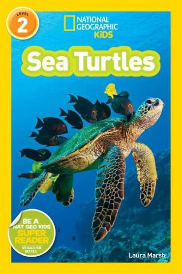 National Geographic Readers: Sea Turtles - 1