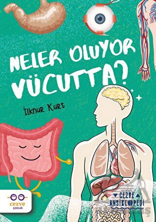 Neler Oluyor Vücutta? – Cezve Ansiklopedi - 1