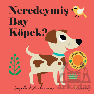 Neredeymiş Bay Köpek? - Domingo Yayınevi