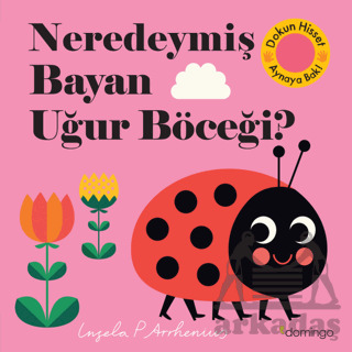 Neredeymiş Bayan Uğur Böceği? - Domingo Yayınevi