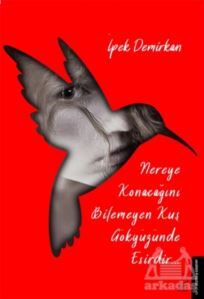 Nereye Konacağını Bilmeyen Kuş Gökyüzünde Esirdir - 1