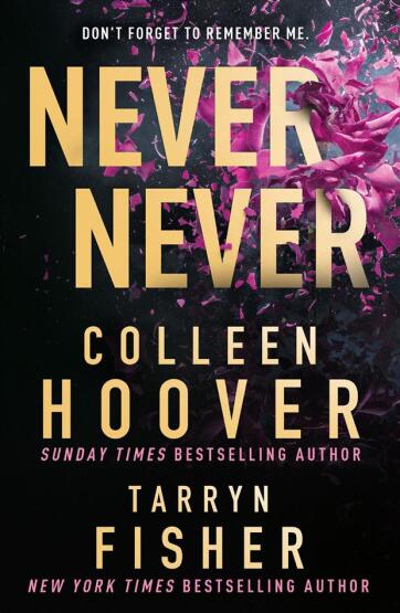 Never Never - HQ