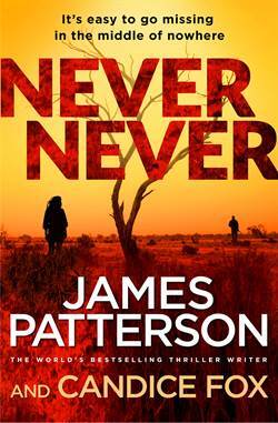 Never Never (Harriet Blue 1) - Arrow Books