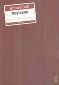 Neylersin - Everest Yayınları