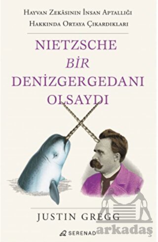 Nietzsche Bir Denizgergedanı Olsaydı - 1