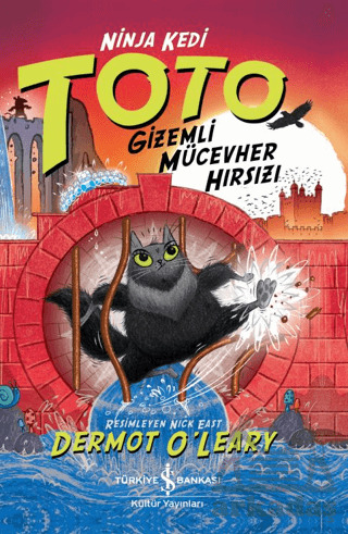 Ninja Kedi Toto - Gizemli Mücevher Hırsızı - 1