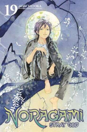 Noragami: Stray God 19 - Kodansha Comics USA