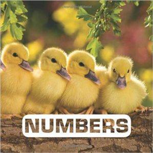 Numbers - HMH Books