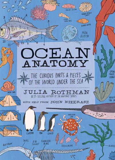 Ocean Anatomy The Curious Parts & Pieces of the World Under the Sea - Anatomy - Storey Publishing