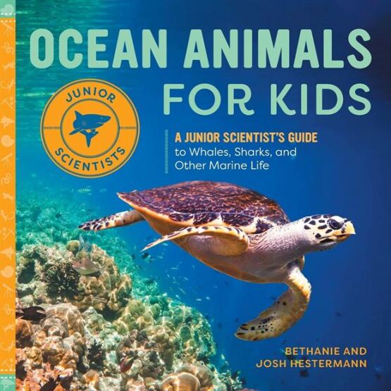 Ocean Animals for Kids - Callisto Kids