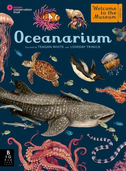Oceanarium - Big Picture Press