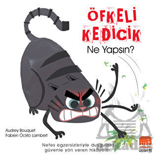 Öfkeli Kedicik - Uçan Fil Yayınları