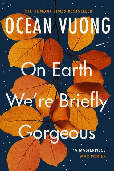 On Earth We're Briefly Gorgeous - Vintage Books UK