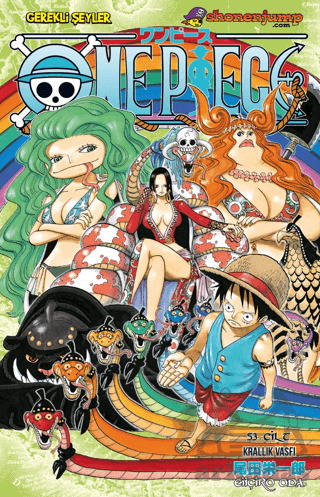 One Piece 53. Cilt - Gerekli Şeyler Yayıncılık