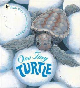 One Tiny Turtle - Walker Books
