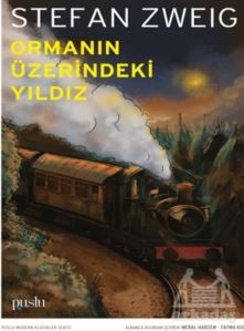 Ormanın Üzerindeki Yıldız - 1