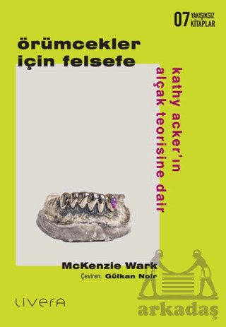 Örümcekler İçin Felsefe: Kathy Acker’In Alçak Teorisine Dair - 1
