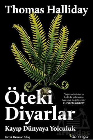 Öteki Diyarlar: Kayıp Dünyaya Yolculuk - Domingo Yayınevi