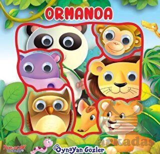 Oynayan Gözler Ormanda - Yumurcak Yayınları