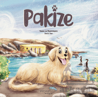 Pakize - Paraşüt Kitap