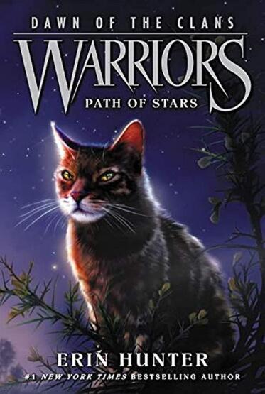 Path of Stars - Warriors. Dawn of the Clans - Harper Collins USA