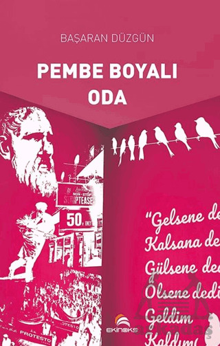 Pembe Boyalı Oda - Ekinoks Yayın Grubu